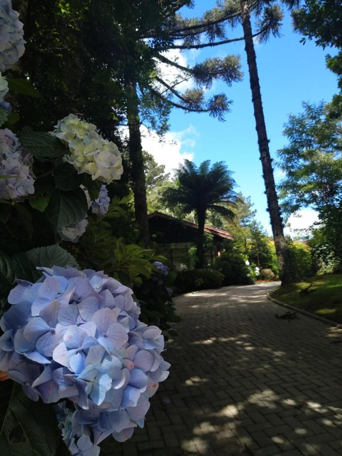 Casa Goldoni Gramado 4 Quartos Zewnętrze zdjęcie